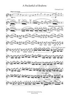 A Pocketful of Brahms von Christoph Enzel (Download) 