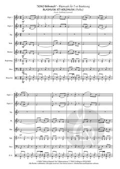 Blasmusik ist Herzmusik (Download) 