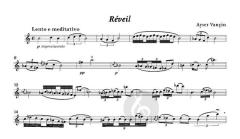 Chants de la Terre et Réveil von Ayser Vançin (Download) 