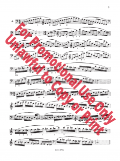Scale System for Double Bass von Carl F. Flesch 