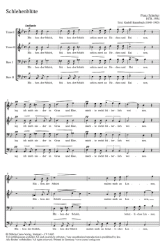 Schlehenblüte; Versunken (Franz Schreker) 