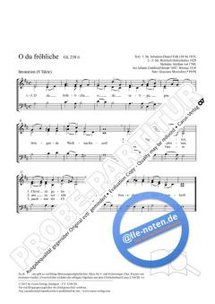 O du fröhliche D-Dur (2012) von Giacomo Mezzalira (Download) 