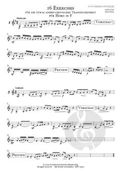 16 Exercises für Horn in F von Achim Graf 