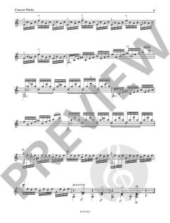 Concert Works Band 6 von Johann Kaspar Mertz 