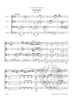 Die späten Streichquartette op. 127, 130-133, 135 von Ludwig van Beethoven (Download) 