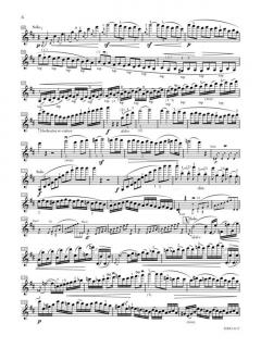 Violin Concerto in D op. 61 von Ludwig van Beethoven im Alle Noten Shop kaufen