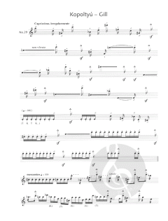 The Flute Expedition 2 von Gergely Ittzés 