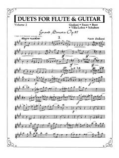 Duets for Flute & Guitar Vol. 2 von Franz Schubert 