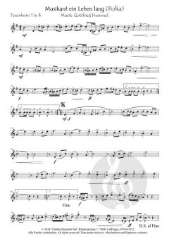 Musikant ein Leben lang von Gottfried Hummel 