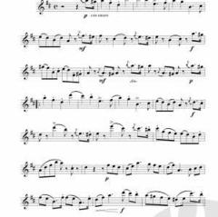 Jugendlust op. 489 Band 2 von Wilhelm Popp 