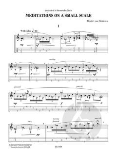 Meditations On A Small Scale von Dimitri van Halderen 