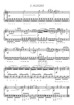 Serenade "Eine ganz kleine Nachtmusik" KV 648  von Wolfgang Amadeus Mozart 