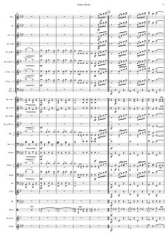 Matrosenmarsch von Franz von Suppé 