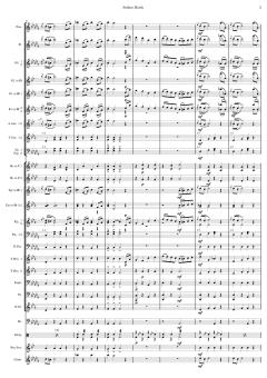 Matrosenmarsch von Franz von Suppé 