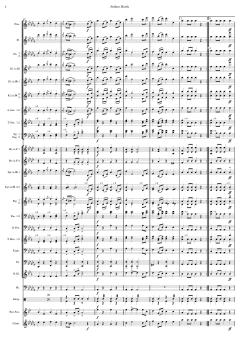 Matrosenmarsch von Franz von Suppé 