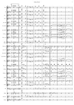 Matrosenmarsch von Franz von Suppé 