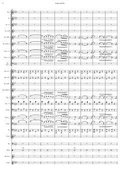 Matrosenmarsch von Franz von Suppé 
