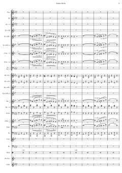 Matrosenmarsch von Franz von Suppé 
