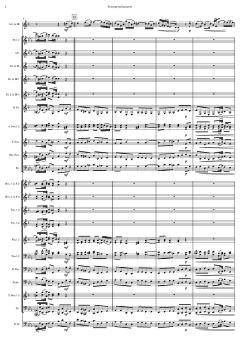 Konzert für Trompete und Blasorchester von Tomaso Albinoni (Download) 