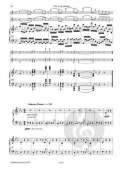 Trio op. 95 g-moll von Eugène Walckiers 
