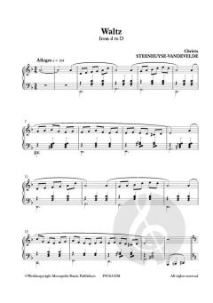 Waltz from d to D von Christa Steenhuyse-Vandevelde 