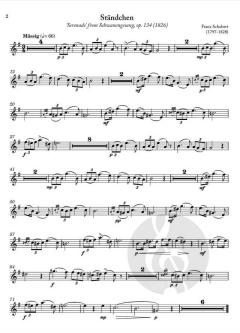 An Die Musik  