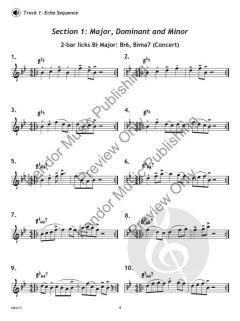 Lick Library - Vibraphone von Peter Blair (Download) 