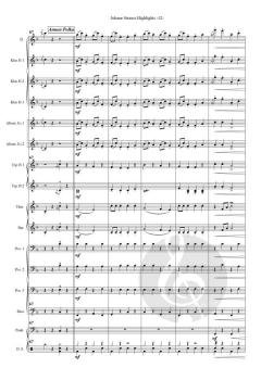 Johann Strauss Highlights von Johann Strauss (Sohn) 