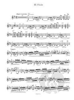 Violinkonzert D-Dur op. 35 von Peter Iljitsch Tschaikowsky 