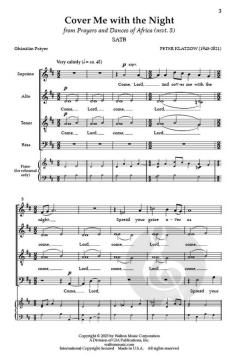 Cover Me with the Night von Peter Klatzow 