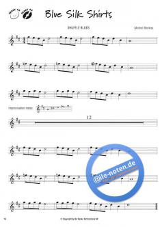 The Easy Sound of Pop, Rock & Blues von Michiel Merkies 