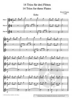 Modern Flutist Band 3 von Krzysztof Zgraja 