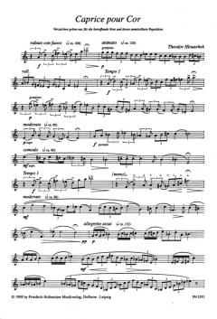 Caprice pour Cor solo von Theodor Hlouschek für Horn
