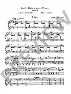 Meine Strauss-Walzer von Johann Strauss (Sohn) 