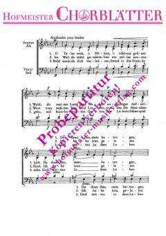 Abschied vom Walde (Felix Mendelssohn Bartholdy) 