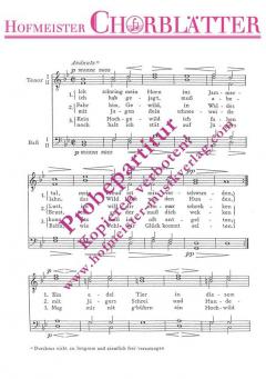 Ich schwing mein Horn ins Jammertal (Johannes Brahms) 