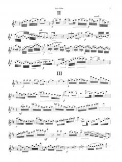Kadenzen zu Mozarts Flötenkonzerten KV 313, 314 von A. Magnin im Alle Noten Shop kaufen