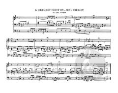 Orgelbüchlein und andere kleine Choralvorspiele von Johann Sebastian Bach im Alle Noten Shop kaufen