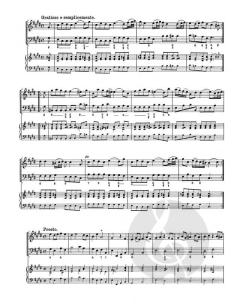 12 methodische Sonaten Heft 5 von Georg Philipp Telemann für Violine oder Flöte und Basso continuo im Alle Noten Shop kaufen