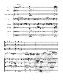 Konzert für Violine und Orchester KV 219 von Wolfgang Amadeus Mozart 