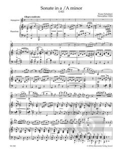 Sonate in a 'Arpeggione' D 821 von Franz Schubert 