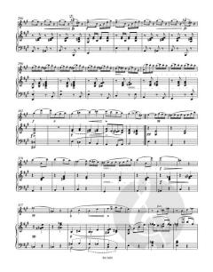 Sonate in a 'Arpeggione' D 821 von Franz Schubert 