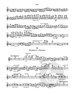 Sonate von César Franck 