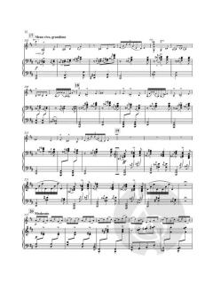 Tzigane von Maurice Ravel (Download) 