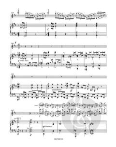 Konzert in D-Dur op. 77 von Johannes Brahms für Violine und Orchester im Alle Noten Shop kaufen