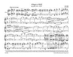 Allegro a-Moll op. post. 144 D 947 "Lebensstürme" von Franz Schubert (Download) 