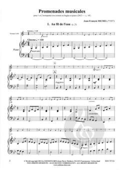 Promenades musicales von Jean-François Michel 
