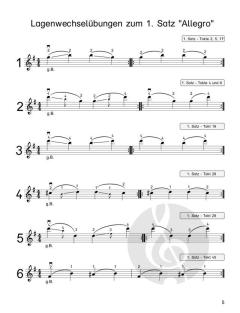 30 Übungen und Etüden zu Concerto G-Dur op. 3/3 RV310 von Antonio Vivaldi 