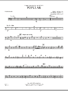 Popular von Stephen L. Schwartz (Download) 