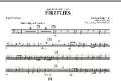 Fireflies von Adam Young (Download) 